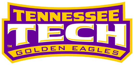 Tennessee Tech Golden Eagles 2006-Pres Wordmark Logo iron on transfers for fabric